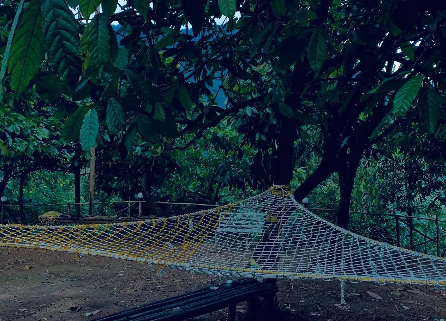 Luxury tent Namastay Mankulam Viripara